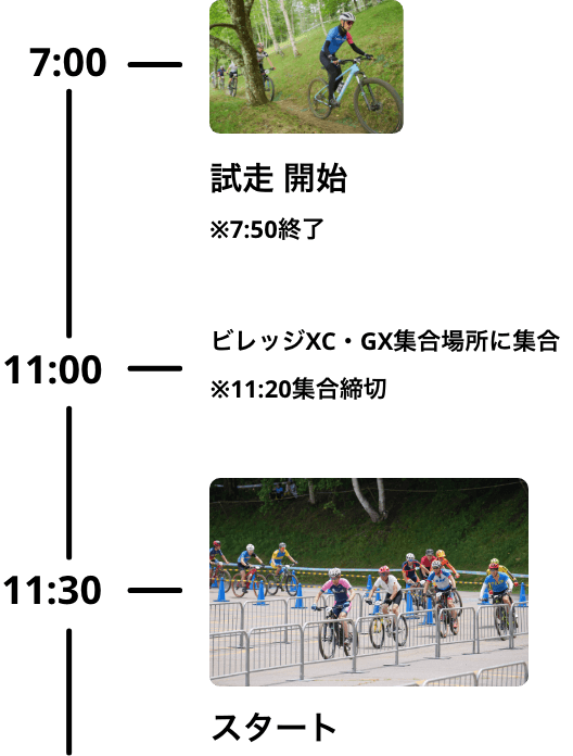 スケジュール