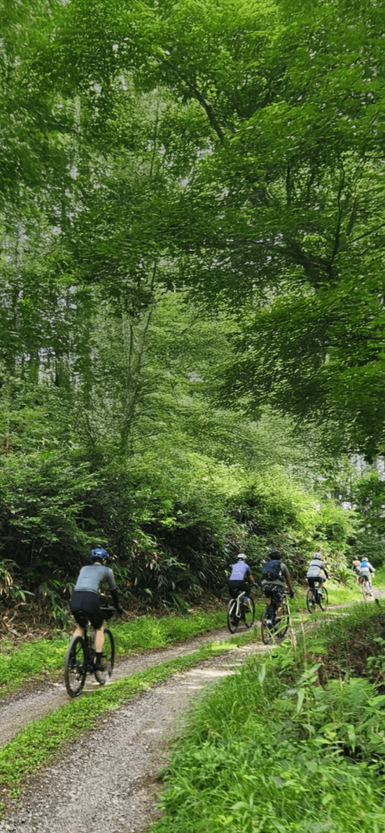 シマノ・バイカーズフェスティバル 2026年