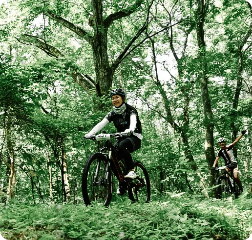 コースイメージ