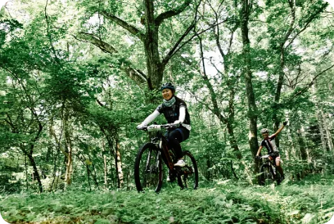 コースイメージ