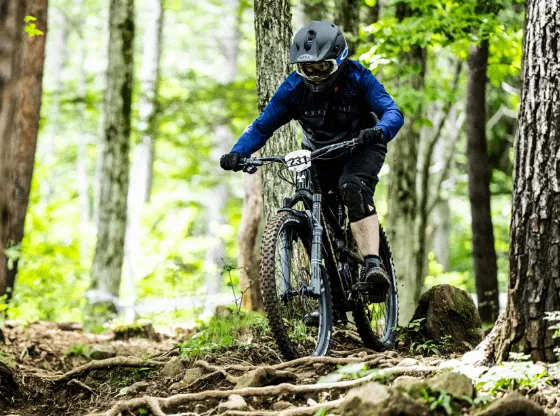 バイカーズとは？