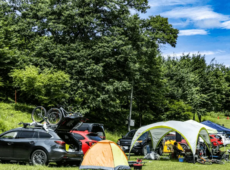 特設オートキャンプエリア