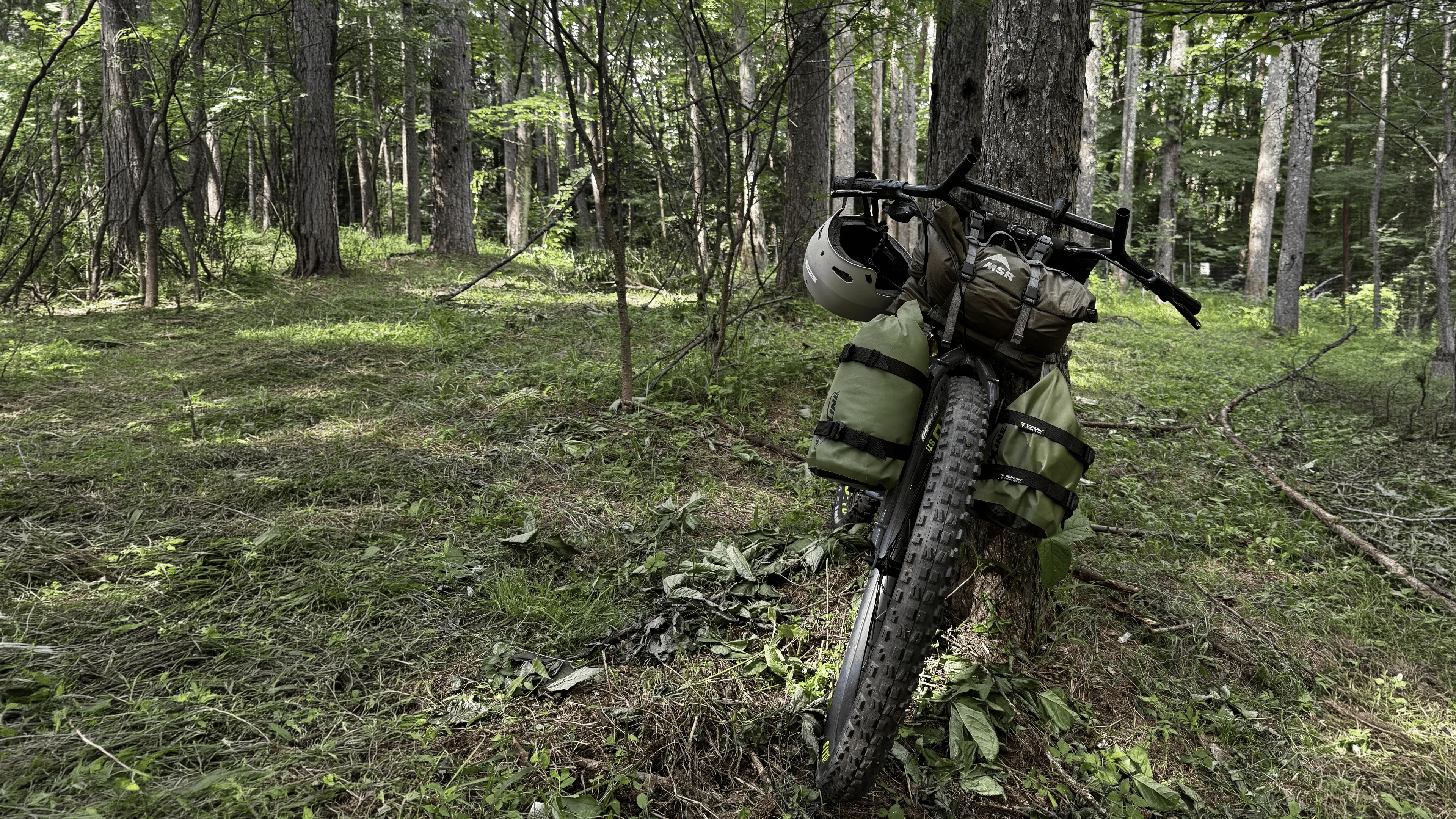 バナーイメージ