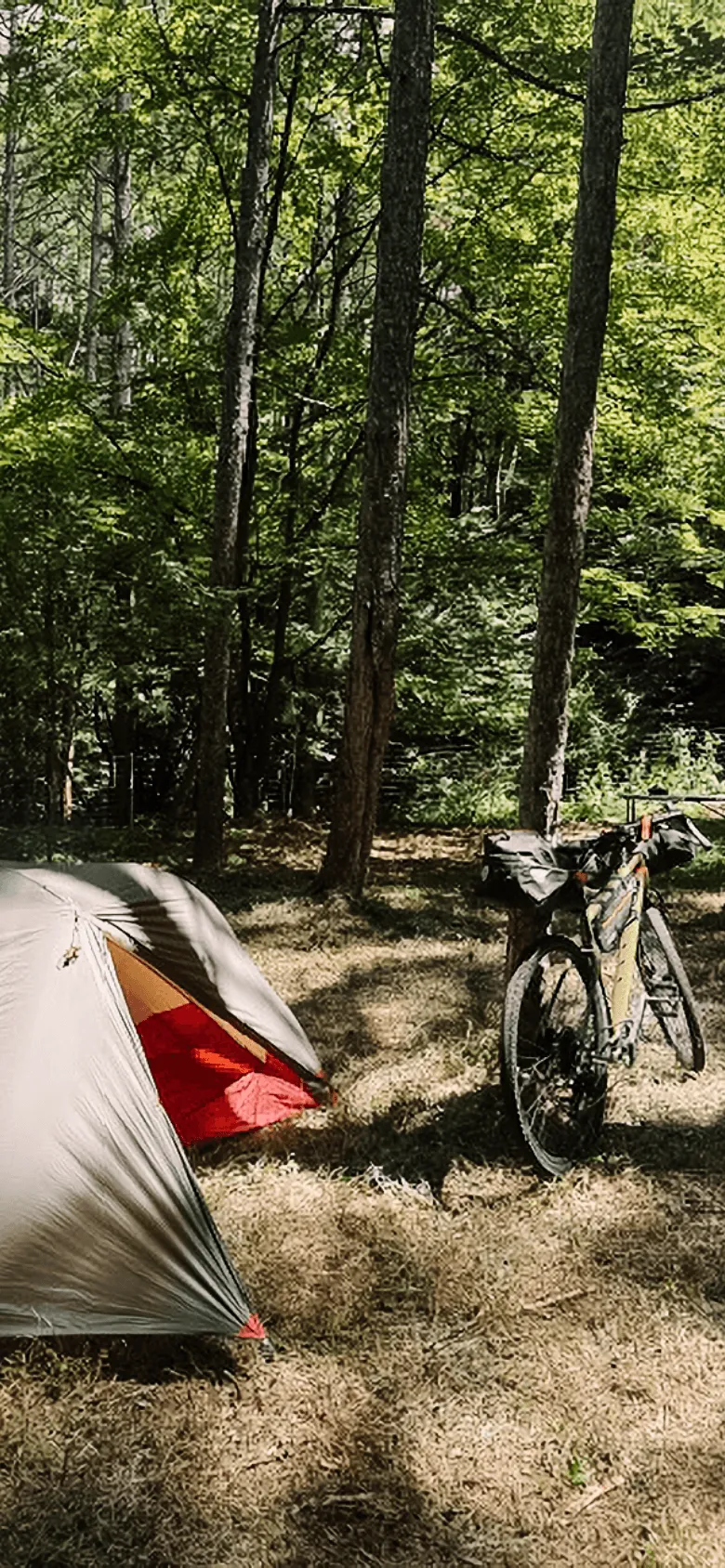 バナーイメージ