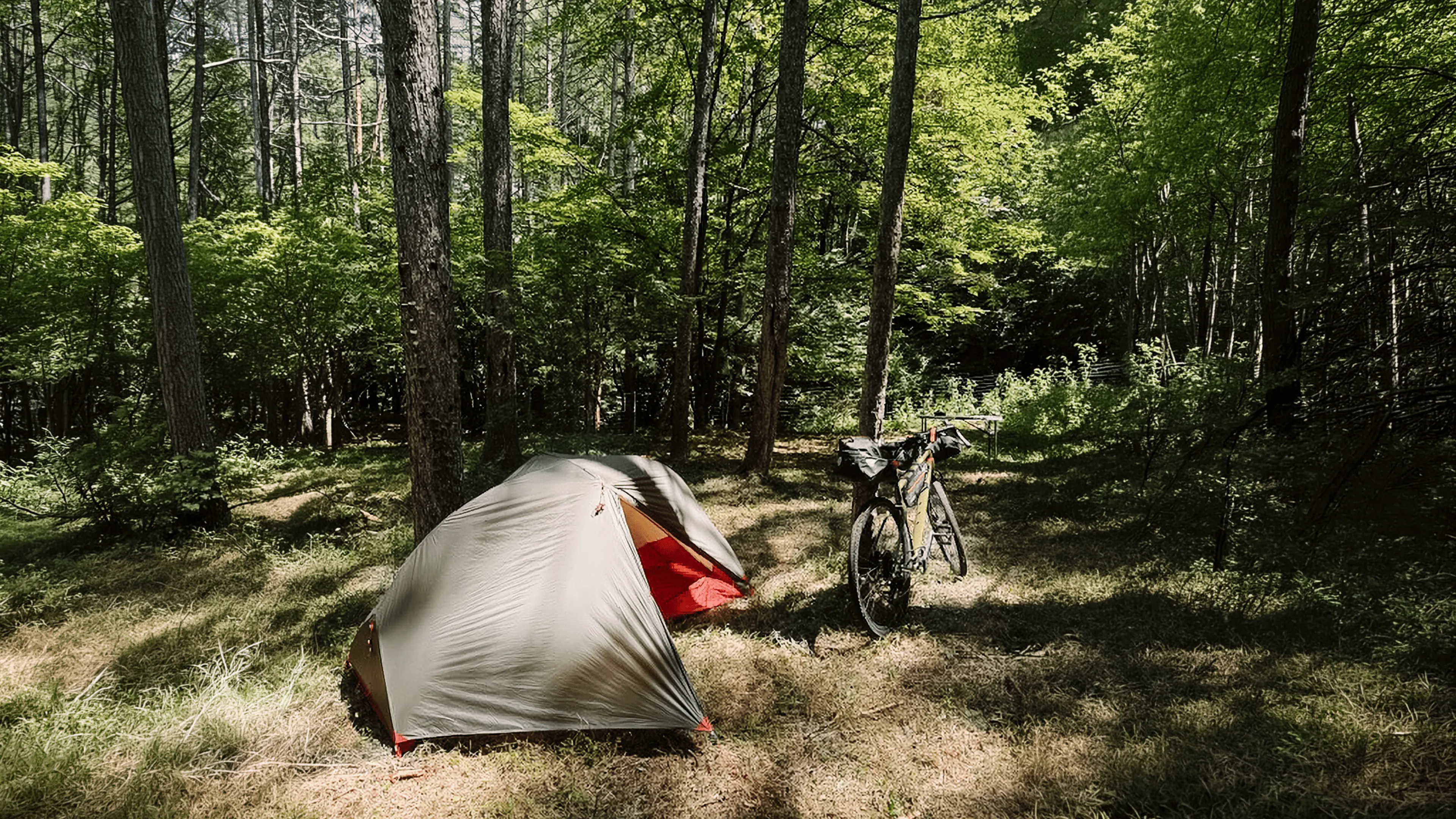 バナーイメージ