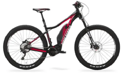 電動アシストE-MTB​​