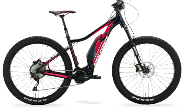 電動アシストE-MTB​​