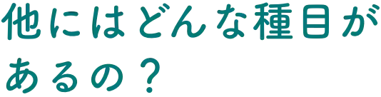 他にはどんな種目があるの？