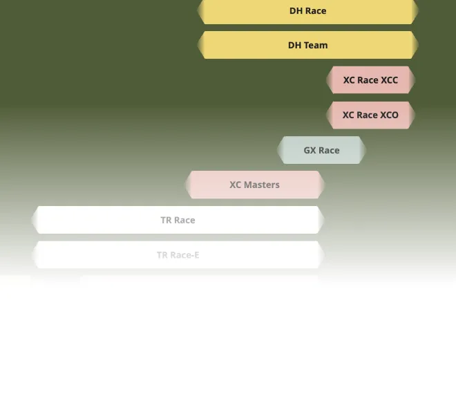 ラインナップのイメージ