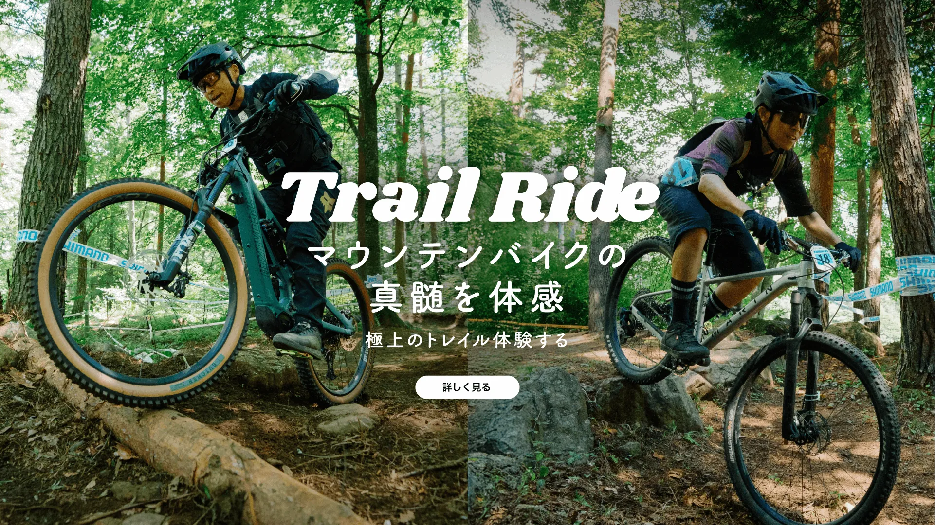 バナーイメージ