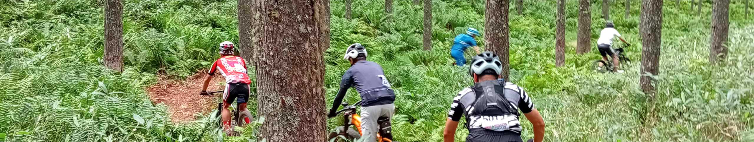 参加にあたってのお願い