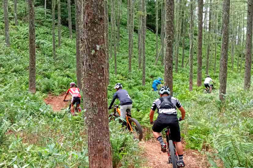 参加にあたってのお願い